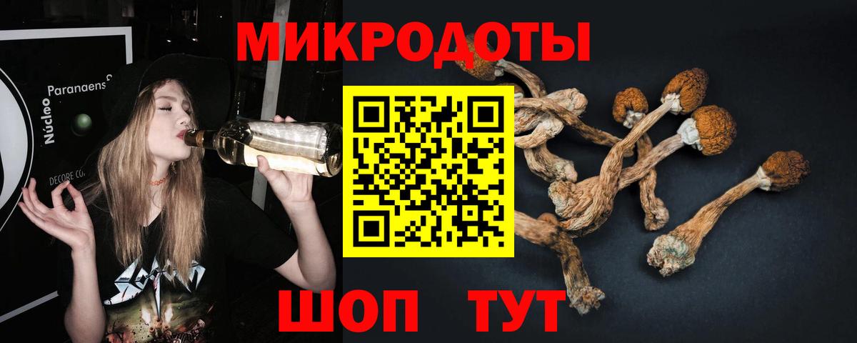 Галлюциногенные грибы GOLDEN TEACHER Гулькевичи