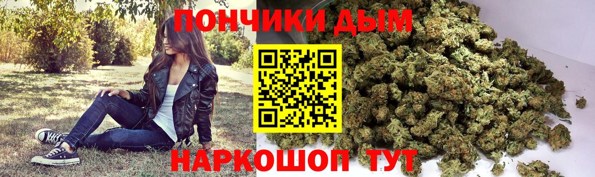 Каннабис сатива Гулькевичи